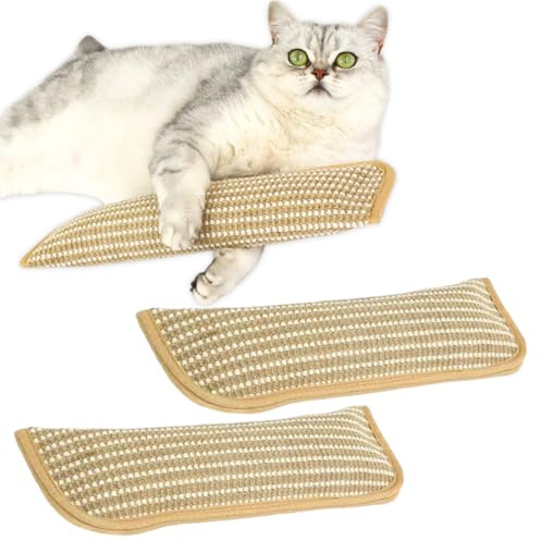ROKZELT 2 Pièces Oreillers Chat l'herbe à Chat, Jouet en Forme de Coussin avec Herbe à Chat, Oreiller à Mâcher Herbe Jouets interactifs pour Chats d'intérie, Grand (28,5 x 8,5 cm)