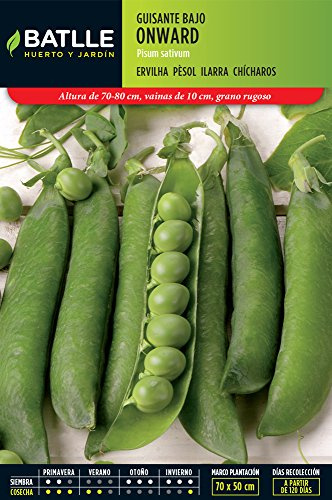 Semillas Batlle Semillas Leguminosas - Guisante Enano Onward 5kg - Batlle