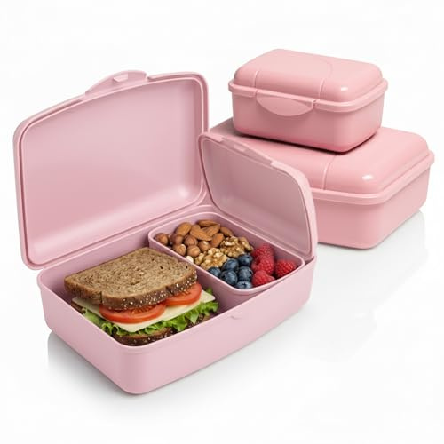 Hausfelder Juego de fiambreras para 4 adultos, color rosa | Juego de 4 fiambreras rosas con 2 latas grandes y 2 pequeñas, apilables, aptas para lavavajillas, sin BPA, oficina y de viaje
