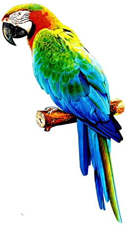 predolo Lebendige künstliche hängende DIY Vogelmodell -Figuren Skulptur Deko für den Garten und Hochzeitsfeier, Stil C