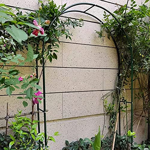 Daoyuan Arche Rosier Jardin en Métal,Treillis D'arche De Jardin Tonnelles,pour Plantes Grimpantes,Pergola De Gloriette Fer Forge,Résistant Aux Intempéries,Arc De Vrille D'arche,Jardin Pelouse Mariage