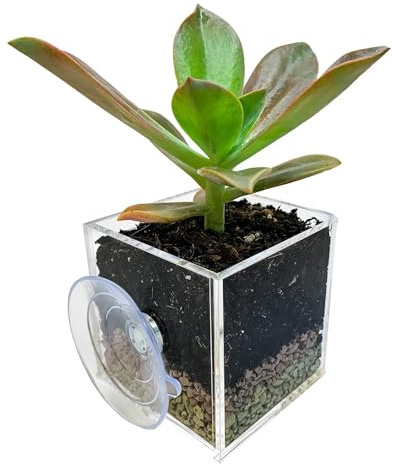 Pflanzgefäß, Transparenter Saugnapf Pflanzgefäß, Acryl Blumentopf mit Drainageloch, Rechteckiger Pflanzgefäß, Klar Pflanztopf Dekorativer Behälter, Töpfe Outdoor Indoor