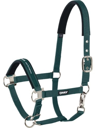 Eskadron Standard Halfter PIN Buckle