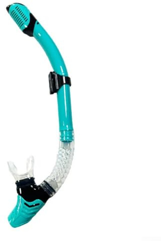 Schwimm-Schnorchel, Trockenatmungsschlauch für Erwachsene, zum Tauchen, Schwimmen, komplettes Schnorchel-Set, Ausrüstung, für Herren und Damen (rot)