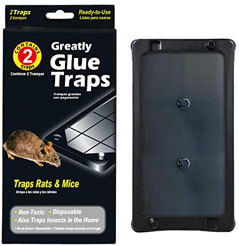 Piège à Souris Pièges à Rats, 15 boîtes Contenant 2 Plaques de Glue Collantes par boites, Soit 30 plaques au Total. Anti Rat, Colle Plus épaisse, Taux de Capture Plus élevée