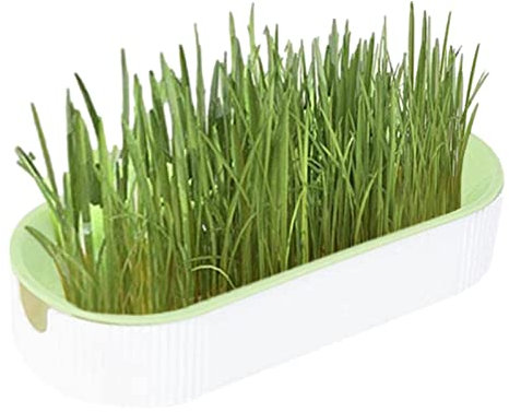 Katzengras-Hydrokulturbox, Keimungsvermehrungsschalen, Hydrokultur-Kaupflanzen-Anzuchtset, Katzengras-Pflanzbox-Sets, Hydrokultur-Katzensnacks, Tierfutter, Katzensnacks für den Garten, die Zimmergärtn