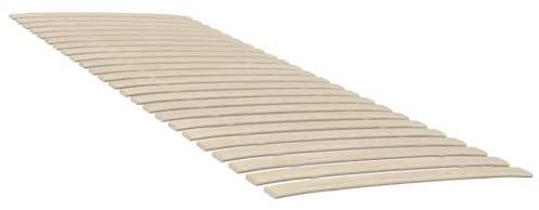 vidaXL Lattenrost Ersatzbettgestell 2 STK., Rolllattenrost mit 48 Latten Holzlatten, Rollrost Bettrost Zusammenklappbar, Lattenrost Roll-Latten mit Kurve, 80x200cm