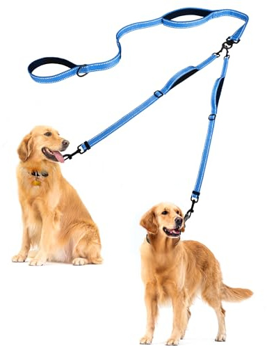 PetBonus dubbelhundkoppel, trasselfritt dubbelkoppel, reflekterande promenad- och träningskoppel, 4 bekväma vadderade handtag för 2 hundar med hopfällbar skål och bajspåsar (ljusblå, stor)