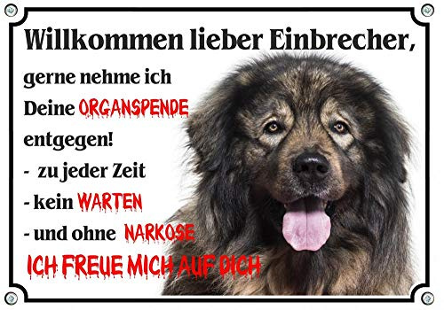 Petsigns Hundeschild Sarplaninac - Warnschild Organspende - wetterfest FUNSCHILD, DIN A4