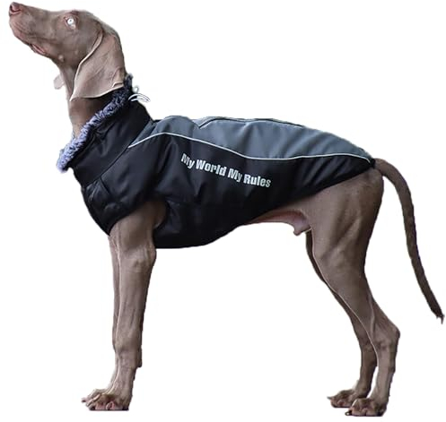 Hundemantel Winter - Hundemantel mit Geschirr Wasserdichter Hunderegenmantel, Warme Mäntel & Jacken für Grosse Hunde mit Reflektorstreifen (XL)
