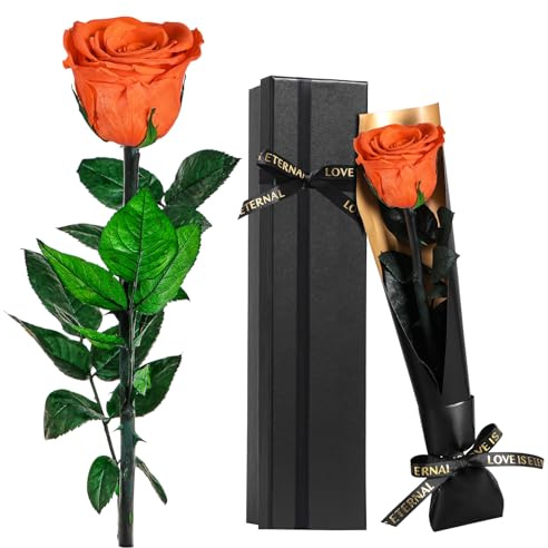 Touloube Geschenk für Frauen | Ewige Orange Rose mit Stiel | Blumengeschenk für Mütter, Tochter & Freundinnen | Eternal Flower –Ideal für Geburtstage,Hochzeit,Jahrestag, Geschenk Frau
