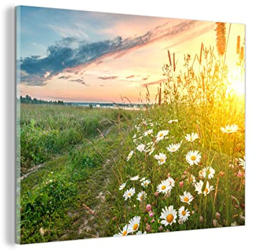 MuchoWow Glasbild Glasfoto Wandbild Bilder Deko 80x60 cm Blumen - Gänseblümchen - Natur - Sonne - Horizont