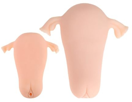 Hmxseu Realistischer Uterus Masturbator 3D Simulation Uterus Masturbator S/L Vagina Klitoris Taschenmuschi Penis Trainer Erotische Masturbation Sexspielzeug für Männer Professionelle Spieler (L)