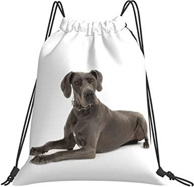 Klapprucksack Deutsche Doggen Gym Bag Multifunktionaler Turnbeutel Mit Kordelzug Gemustert Rucksack Mit Kordelzug Für Jungen, Strand, Kinder, 36X42Cm