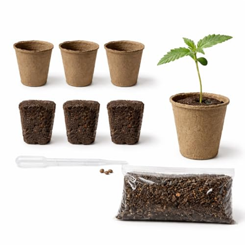 Cannabis Anbau Starter-Kit/Set für drei Gras/-Weed Pflanzen inkl. Anbauanleitung und Zubehör (3x Gelato fem.)