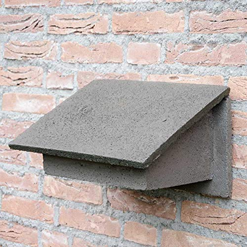 CJ Wildlife Nistkasten Mauersegler – Vogelnistkasten für draußen wetterfest – Woodstone Holzbeton FSC® – Brutkasten für Mauersegler mit schrägem Dach