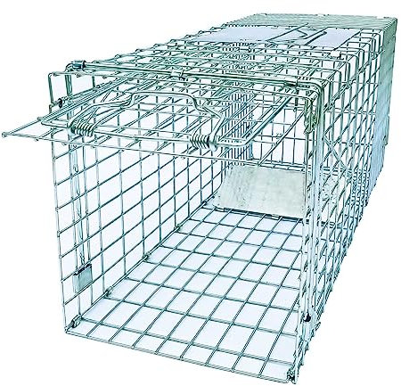 Folding Collapsible Humane Live Animal Cage Trap No-Kill Trapping Kit for Humane Catch Release Rodent Rabbits, Stray Cat, Squirrel, Raccoon, Opossum, All Fit Sized Animals, 2-Door 26 x 9.5 x 10.2