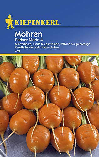 Kiepenkerl 465 Möhre Pariser Markt 4 (Möhrensamen)