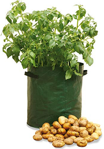 Haxnicks Planter010101 Lot de 3 Sacs de Culture réutilisables pour Pommes de Terre et Patio - Poignées renforcées - Trous de Drainage - Petit Jardin - Vert - 35 x 35 x 45 cm