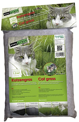 GLAESER easygreen - Katzengras 1,20 m² | Katzen Magenreinigung | Nahrungsergänzungsmittel für Katzen | Besonders geeignet für Hauskatzen | Hilft beim Haarballen