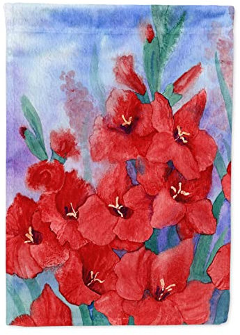 Caroline S Treasures Ibd0250chf Glaïeul Artificiel sur Toile Maison Drapeau, Grand, Multicolore