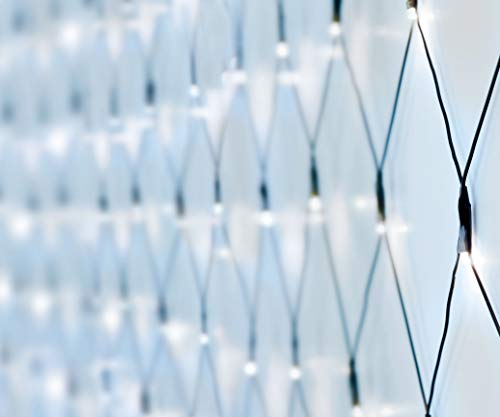 Spetebo LED Lichternetz 300 x 300 cm mit 240 LEDs - kaltweiß - für Innen und Außen geeignet - Kabelfarbe: grün