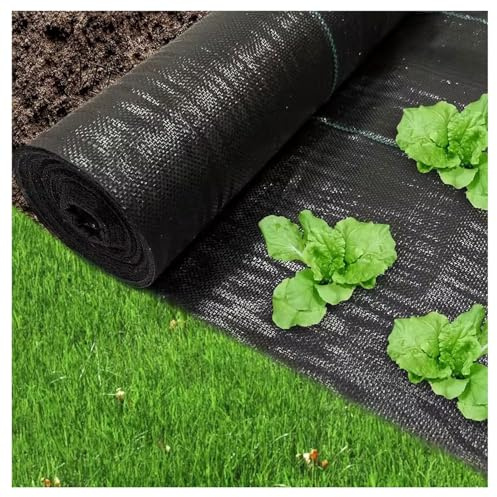 DIWAL Tessuto Giardino Pacciamatura UV Resistente Telo Antierbacce Membrana Anti Erbacce Tessuto Non Tessuto per Aiuole, Viali, Ingressi, Terrazza, Paesaggistica(1m x 50m)