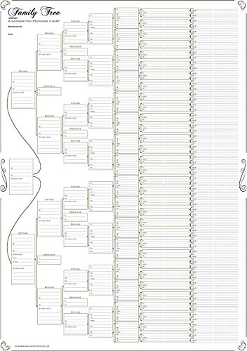 My History Stammbaumtafel, kompakt, 8 Generation, 120 g Papier (einfarbig, gefaltet)