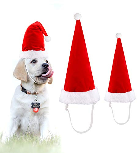 Luter 2 Stück Verstellbare Weihnachtsmütze für Hundekatze, 2 Größe Weihnachtsmütze für Haustier, Weihnachtskostüm für Weihnachtsfeier Neujahrsdekorationen