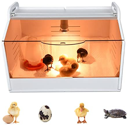 Cubateur pour poules - Avec thermomètre et lampe - Pour volailles, reptiles et petits animaux - 220 V