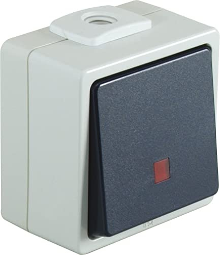 OPUS® AQUA Ausführung Kontrollschalter Aus/Wechsel, rote Linse, Farbe hellgrau/stahlblau