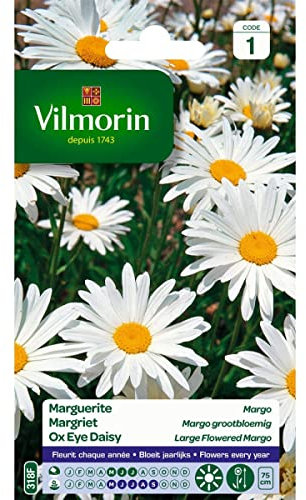 Vilmorin - Confezione grande di semi di margherita Margo
