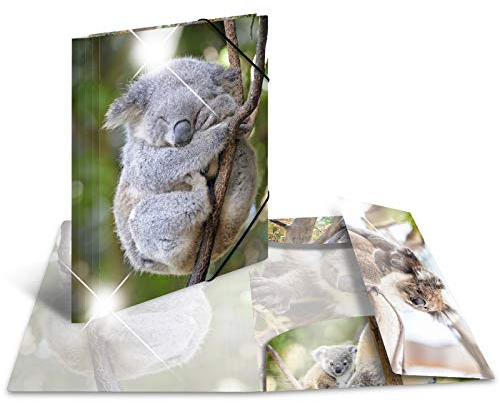 HERMA Sammelmappe A4 Koala, Kinder Eckspanner-Mappe aus Kunststoff mit Tier Motiv, Hochglanz-Optik, Gummizug, Innenklappen und Innendruck für Jungen und Mädchen
