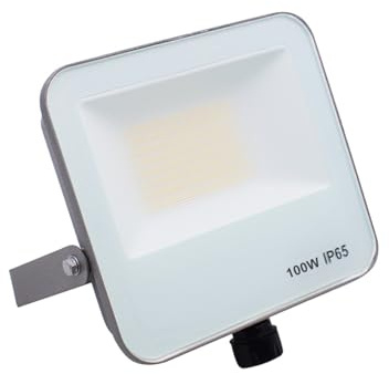 Faro proiettore a LED 220V 100W IP65 da esterno Luce Switch 3000k-4200k-6400k