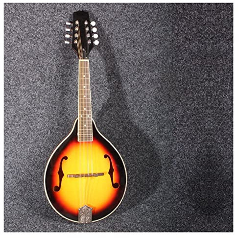 TSTS Beginner Mandolin Easy To Learn Mandolin Crafting For Beginners
