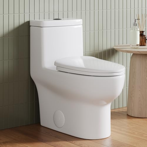 DeerValley Elongated One Piece Toilet, Dual Flush 1.1/1.6 GPF Toilets with Standard Height Powerful and Quiet 12 Rough-In Toilet for Bathroom DV-1F026-B