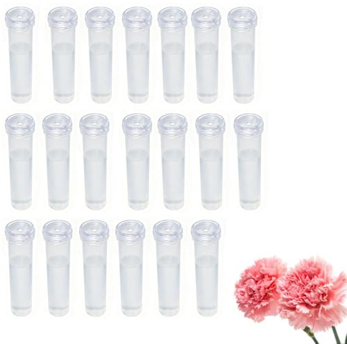 Armastuse 20 Stück Reagenzgläser für Blumen Transparent Blumenröhrchen mit Deckel Orchideenröhrchen Kunststoff Wasserröhrchen für Blumen für Blumenarrangements Blumen Pflanzen Dekoration