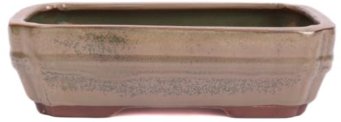 generisch Bonsai - Schale eckig 21.5 x 16 x 6.2 cm Oliv 22141