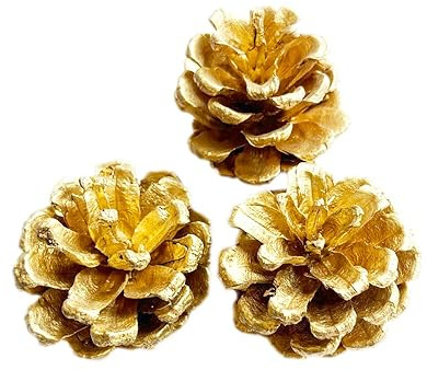 Blausky 6 Stück Weihnachten Tannenzapfen,Natur Pinienzapfen Anzapfen Kiefernzapfen Dekoration Kiefernzapfen Thanksgiving Ornamente,für Party Advents DIY Handwerk Weihnachtsbaum,2–3 cm,Gold