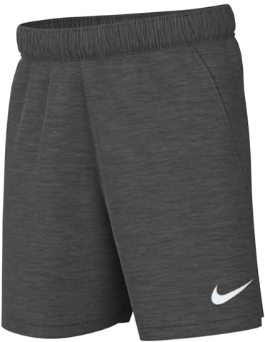 Nike Pojkar Park 20 shorts Träkol ljung/vit/vit XL