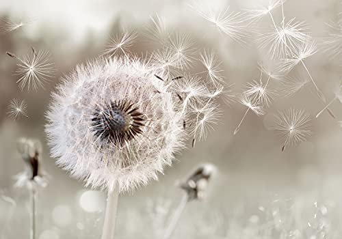 decomonkey Fototapete Pusteblume Natur 350x256 cm Tapete Fototapeten Vlies Tapeten Vliestapete Wandtapete moderne Wand Wandbild Schlafzimmer Wohnzimmer Blumen Löwenzahn Beige Pflanzen Abstrakt