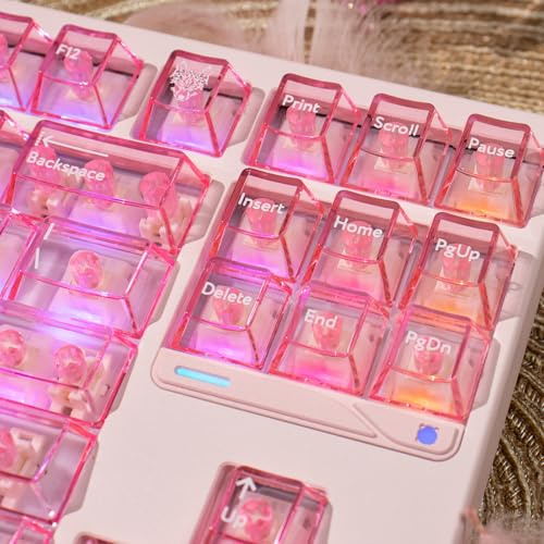 mintcaps Crystal Clear Keyboard Keycaps Transparent PC Cherry Profile Pink Keycap Set 114 Keys Shine Through Key Cap for Cherry Gateron Mx Switches Mechanical Keyboard