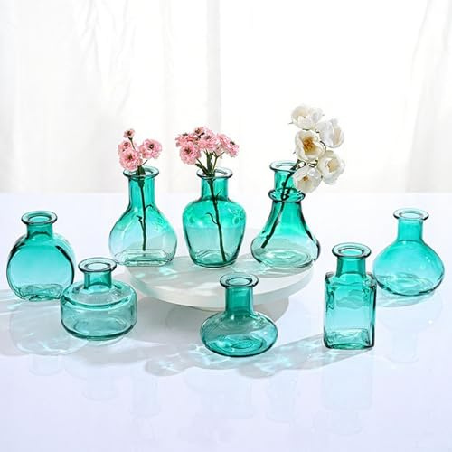 Kleines Glas Grün Vase Set von 8 EylKoi Bud Vasen in Bulk Mini Tiny Verschiedene Form Glatte Oberfläche Vintage Modern Niedlichfür Blumen Tisch Home Party Hochzeit Dekor Mittelstücke Esszimmer