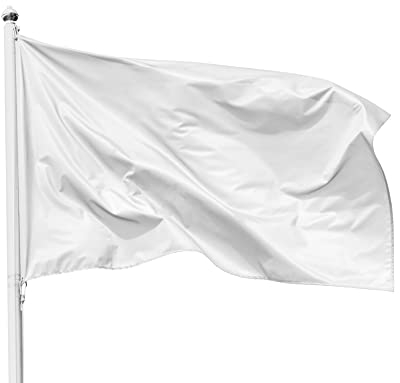 PHENO FLAGS Weiße Flagge 90x150 cm - Extrem wetterbeständige Fahne mit Messingösen, 100% Polyester, robuste Doppelnaht & in lebendigen Farben - Fahne zum Bemalen für Familienfeiern & Firmenfeste