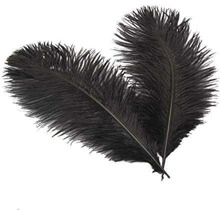 Sowder Strauß-Federn 16-18inch (40-45cm) für Haupthochzeits-Dekoration Packung 10pcs(schwarz)