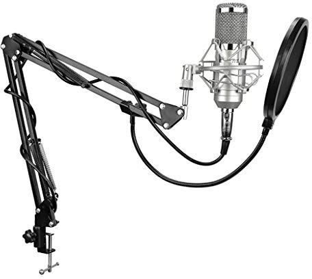 Microfono a condensatore professionale senza rumore di registrazione 3,5-XLR per computer, scheda audio dal vivo, karaoke (colore: argento)