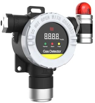 YQVEOT Detector de Gas, Detector de Gas Detector de Fugas de Gas H2 H2S NH3 CH4 C2H2 Detector DE Gas para Trabajo y Casa(H2S 0-100ppm)