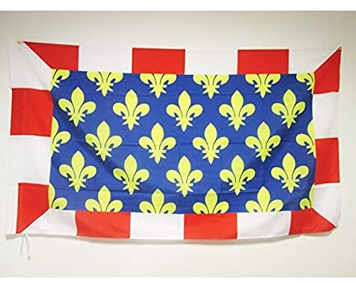 AZ FLAG Bandiera Indre e Loira 150x90 cm Francese Poliestere 100D Asola | Uso interno ed esterno bandiera decorativa Indre-et-Loire doppie cuciture e bordi rinforzati con guaina per asta