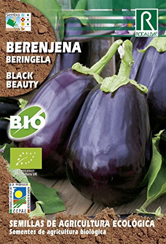 Semillas ECOLOGICAS Berenjena Black