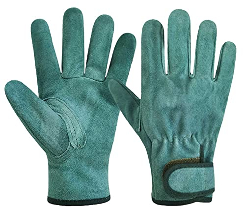 FLYIFE Arbeitshandschuhe，1/5/10/20 Paar Rosenhandschuh,Rose Pruning Dornenfeste,Handschuhe Arbeitshandschuhe Herren Gartenhandschuhe,Dornenfest Damen Schutzhandschuhe,Mechaniker Handschuhe